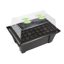 X-Stream / Aeroponic propagator